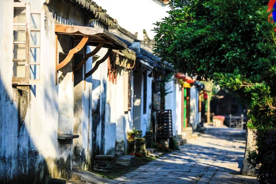 津媒:将近10天没系统训练,指望韦世豪“单骑救主”不太现实